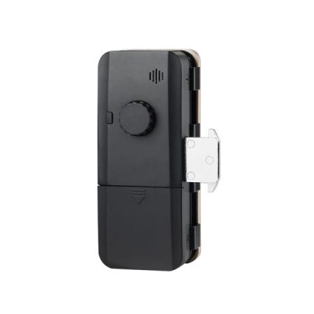 KHÓA CỬA KÍNH CỬA LỰC FACE ID DR-016 - Ảnh 2