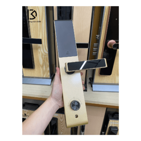 Khóa thông minh cho cửa gỗ DR-057