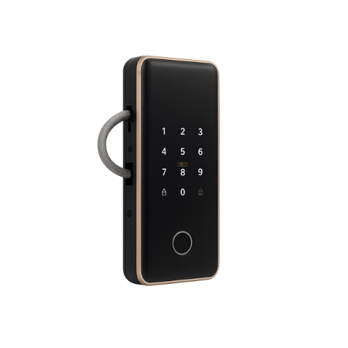 Khóa vân tay cửa kính DR-017
