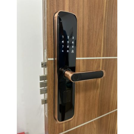 Khóa thông minh cửa gỗ DR-051BR - Ảnh 2