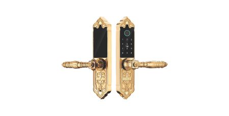 Khóa cửa vân tay đại sảnh KASSLER - KL919