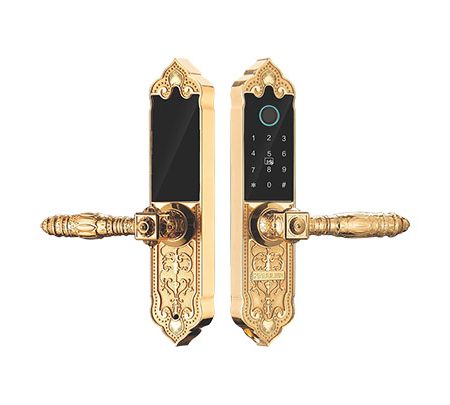 Khóa cửa vân tay đại sảnh KASSLER - KL919