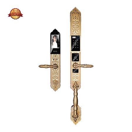 Khóa cửa vân tay đại sảnh KASSLER - KL929F PRO