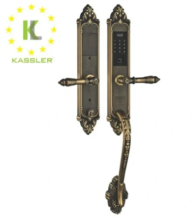 Khóa cửa vân tay đại sảnh KASSLER - KL969GR