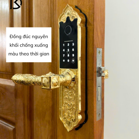 khóa cửa thông minh kassler kl919