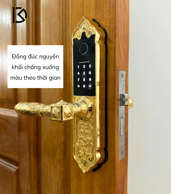 khóa cửa thông minh kassler kl919