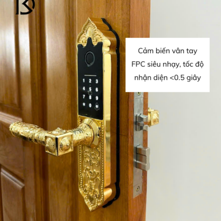 khóa cửa thông minh kassler kl919