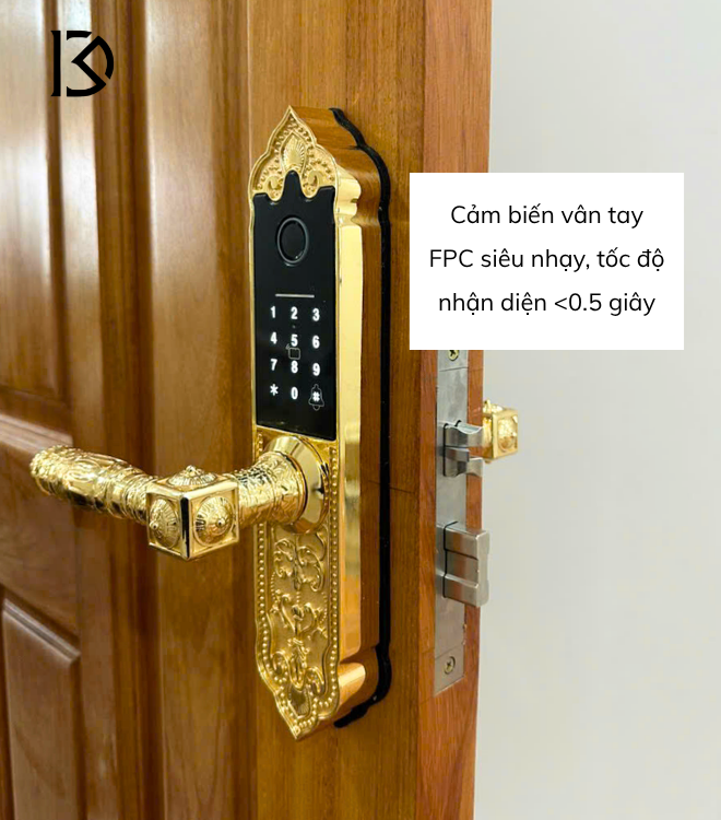khóa cửa thông minh kassler kl919