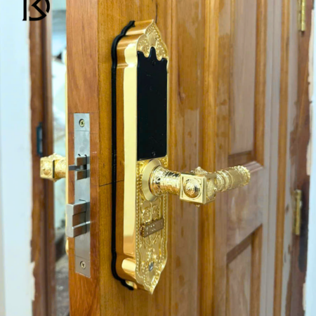 khóa cửa thông minh kassler kl919