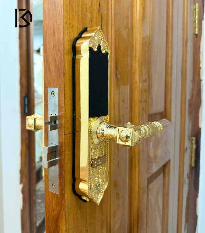 khóa cửa thông minh kassler kl919