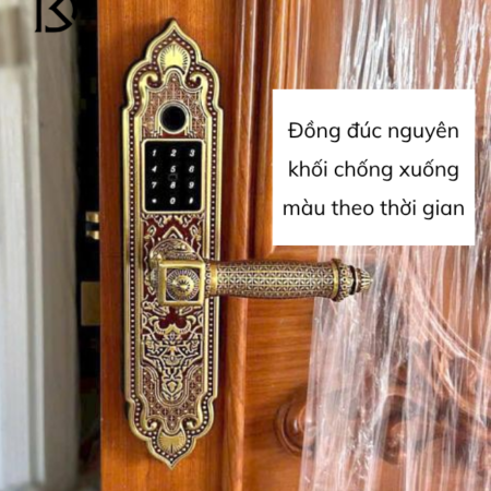 khóa cửa thông minh KASSLER – KL919 PRO – COPPER