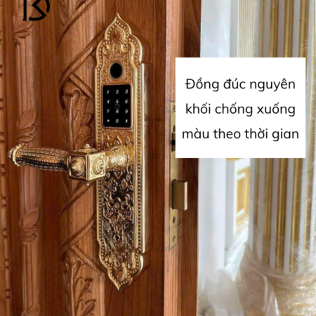 khóa cửa thông minh KASSLER KL919-PRO Gold
