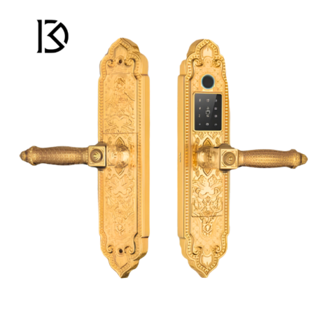 khóa cửa thông minh KASSLER KL919-PRO Gold