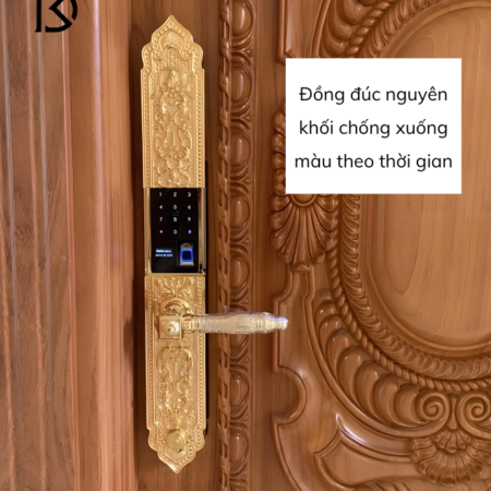 khóa cửa thông minh KASSLER – KL929