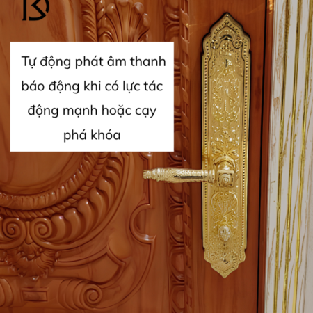 khóa cửa thông minh KASSLER – KL929