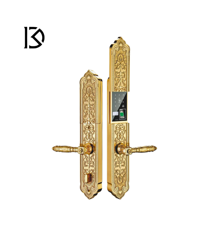 khóa cửa thông minh KASSLER – KL929