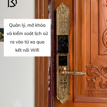 khóa cửa thông minh KASSLER – KL929F