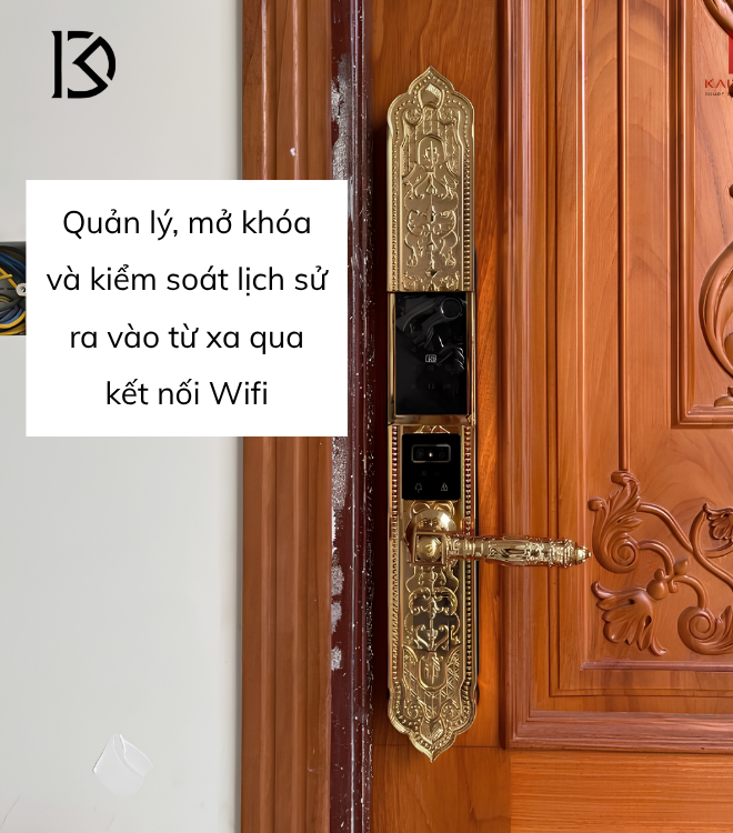 khóa cửa thông minh KASSLER – KL929F