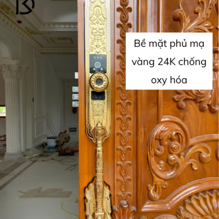 khóa cửa thông minh KASSLER – KL939F
