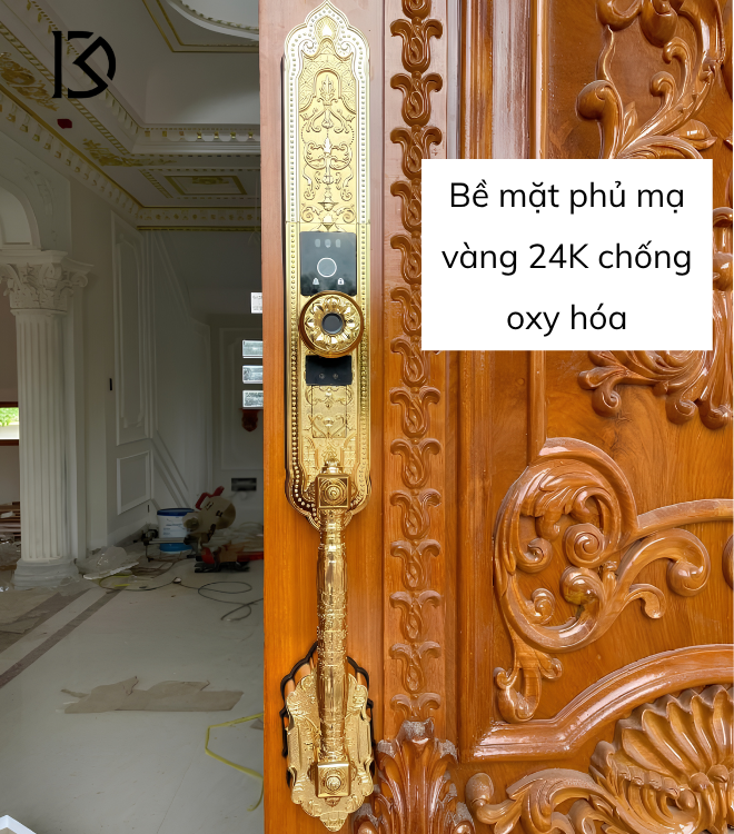 khóa cửa thông minh KASSLER – KL939F
