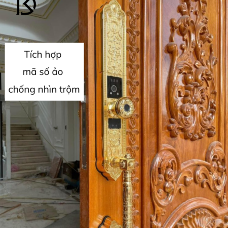 khóa cửa thông minh KASSLER – KL939F