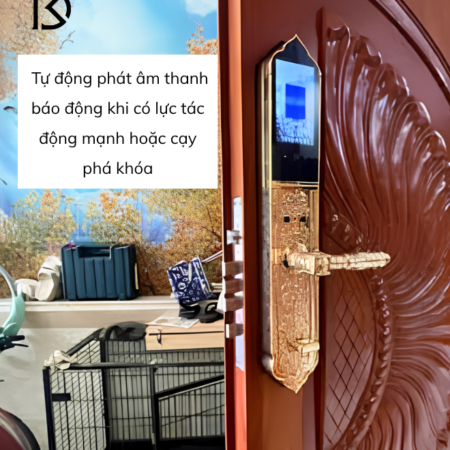 khóa cửa thông minh KASSLER – KL939F