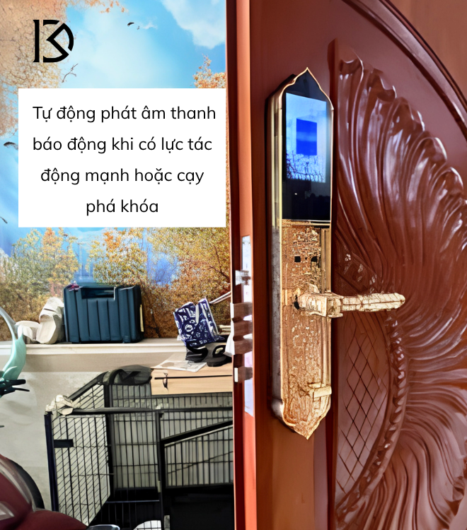 khóa cửa thông minh KASSLER – KL939F