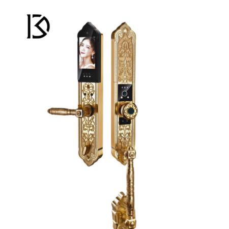 khóa cửa thông minh KASSLER – KL939F