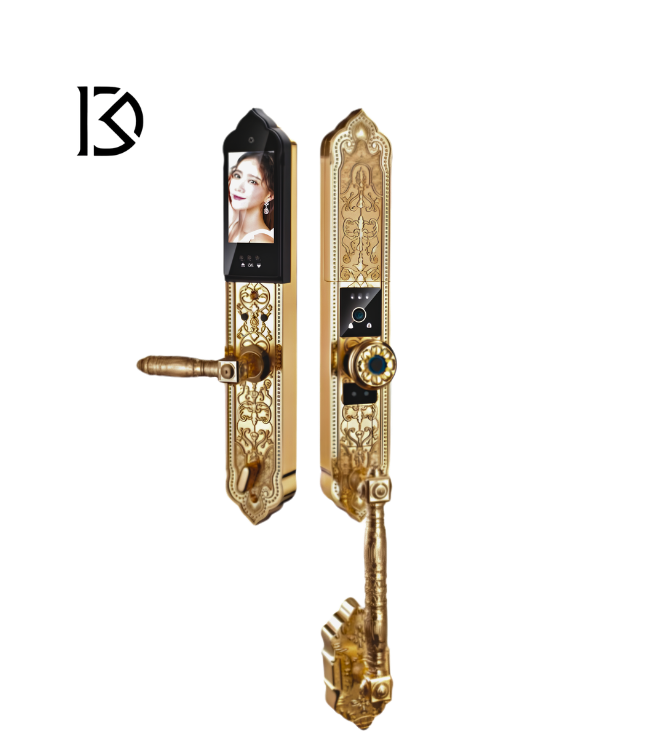 khóa cửa thông minh KASSLER – KL939F