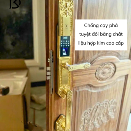 khóa cửa thông minh KASSLER – KL979G