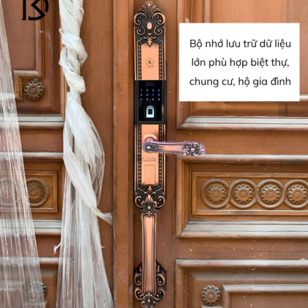 khóa cửa thông minh KASSLER - KL979R