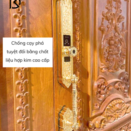 khóa cửa thông minh KASSLER – KL939F PRO