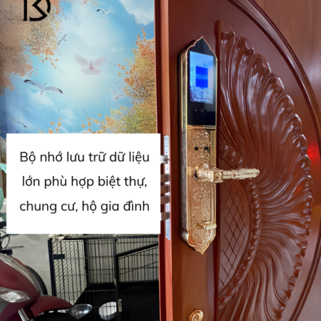 khóa cửa thông minh KASSLER – KL939F PRO