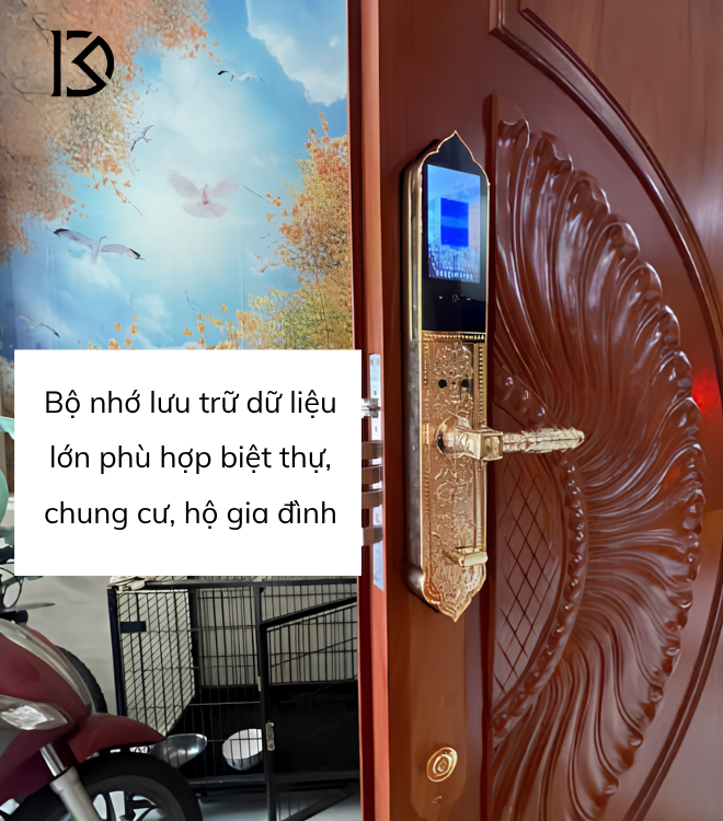 khóa cửa thông minh KASSLER – KL939F PRO