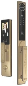 Khóa cửa vân tay đại sảnh KASSLER - KL968CNC
