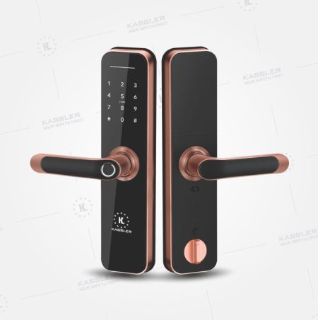 Khóa cửa thông minh KASSLER - KL668 - Ảnh 2