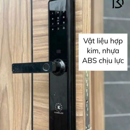 khóa cửa thông minh KASSLER – KL566