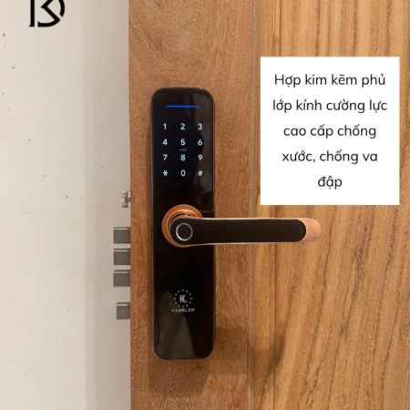 khóa cửa thông minh KASSLER – KL668