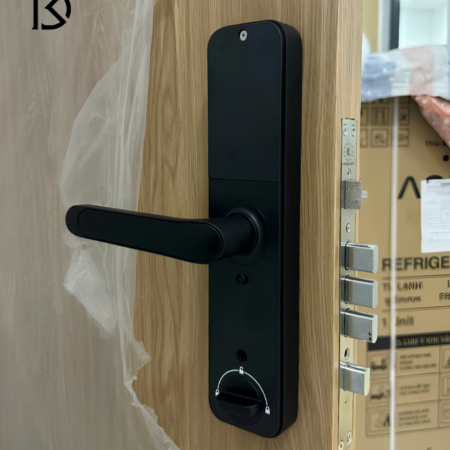 khóa cửa thông minh KASSLER – KL668