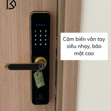khóa cửa thông minh KASSLER-KL696