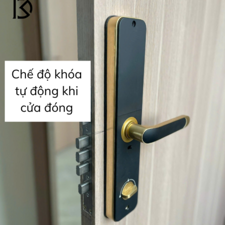 khóa cửa thông minh KASSLER-KL696