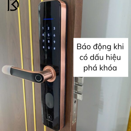 khóa cửa thông minh KASSLER-KL696
