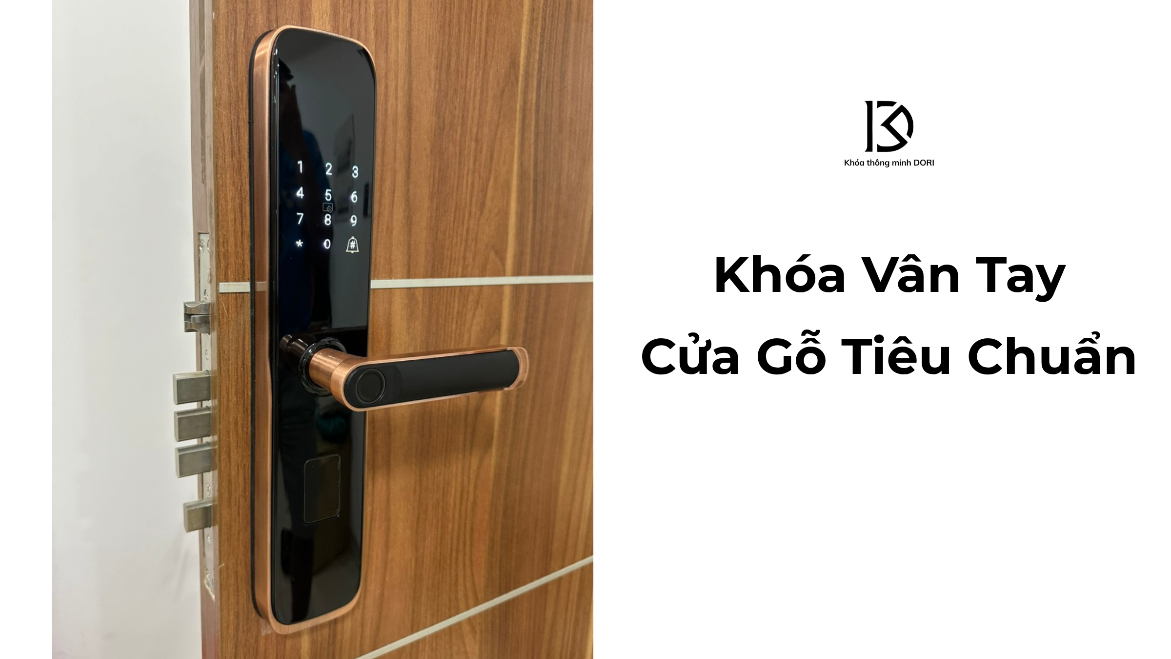 Lắp Khóa Vân Tay Cho Cửa Gỗ