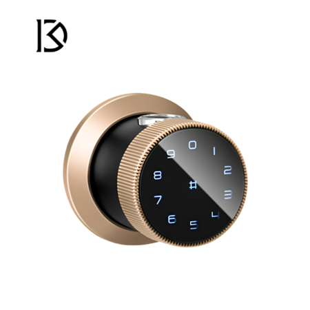 khóa cửa thông minh Laffer B12
